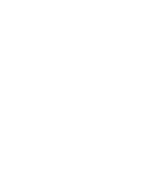 5150 LED WHIPS W/ BLUETOOTH - FullFlight Racing  | 5150 LED WHIPS W/ BLUETOOTH | 5150 WHIPS | FullFlight Racing